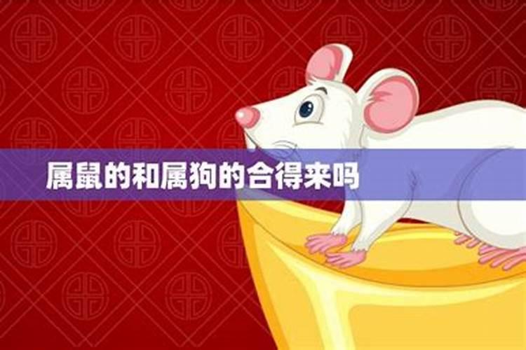 生肖配对:两个都是属鼠的在一起好不好 能结婚吗？
