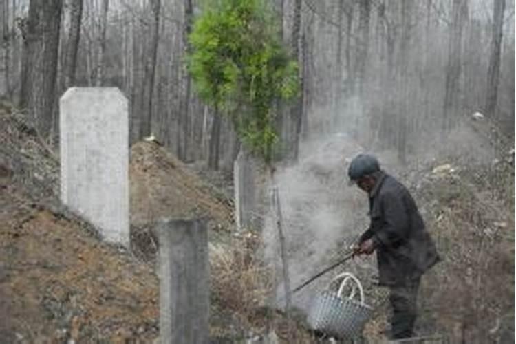 冲太岁是什么意思