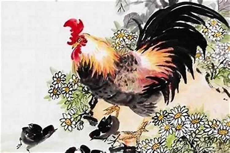 1981年属鸡的2024年运势运程和每月运势