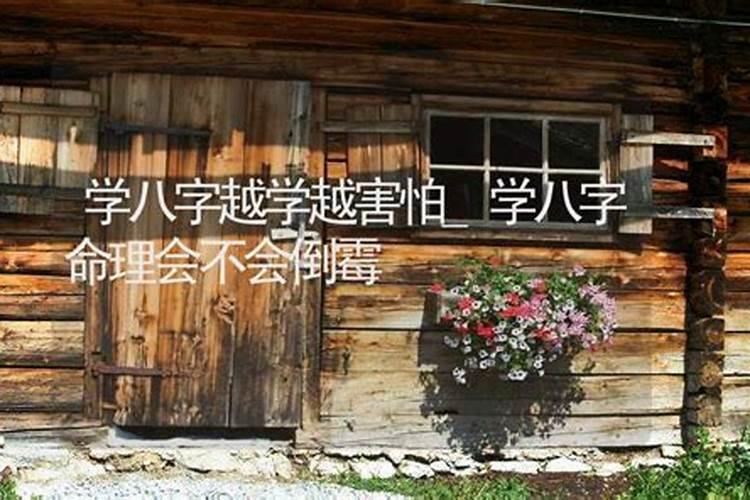 如何自学八字？
