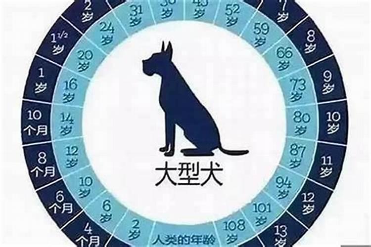 1985牛和1981鸡相配吗 婚姻状况怎么样？