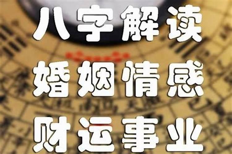 鸡年属蛇的运势及运程,蛇人遇到鸡年运气好吗