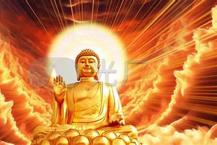 马本命年要注意什么
