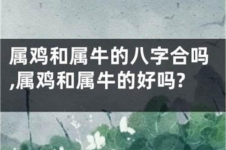 2025属鼠人全年运势详解