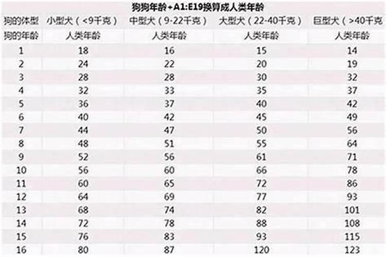 怎样为堕胎婴灵超度