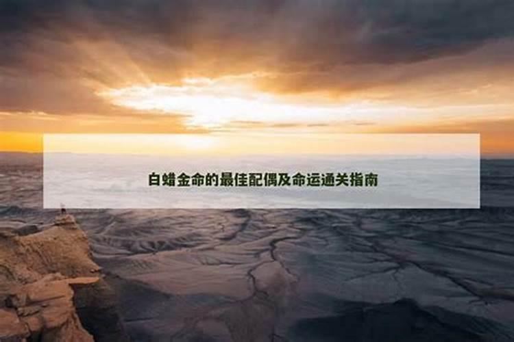 大林木和海中金婚配 男木女金才相配