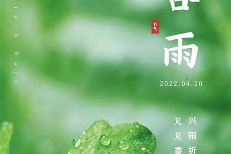 谷雨节气有什么讲究