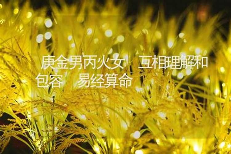 丙火女和辛金婚配吗 相互制衡可婚配
