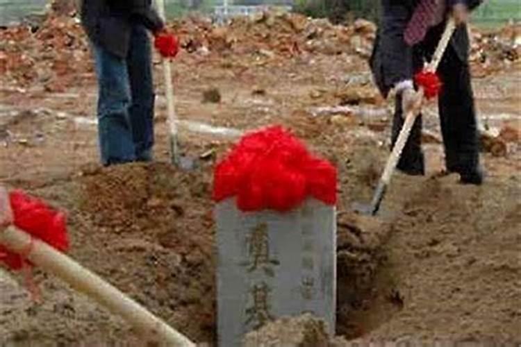 属虎的命中情人是谁 属虎的情人注定是什么属相
