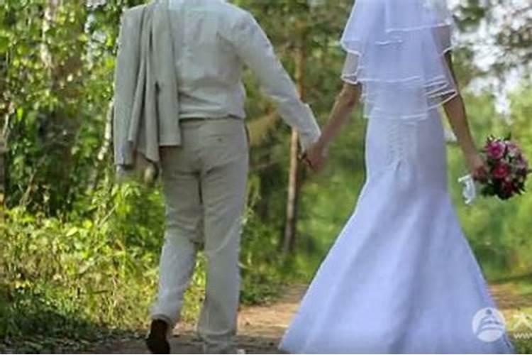 属狗人哪年财运最旺 虎年是六合之年？
