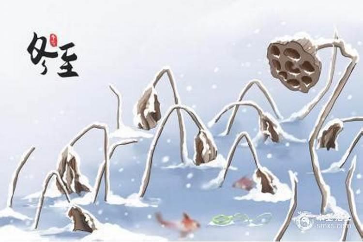 冬至出生的人是神 贵人相助发大财