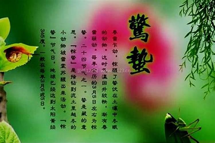 农历九月初九的重阳节有哪些习俗