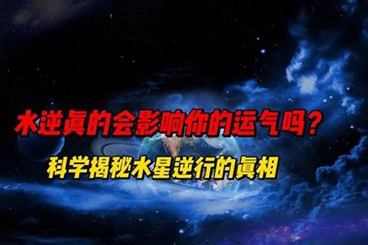 八字中有四个巳好不好？