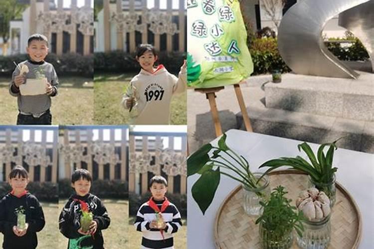 清明节是按农历还是阳历算