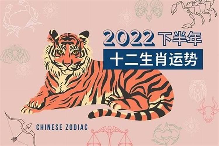 属猪2025年6月份运势