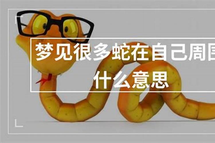 梦见好多蛇是什么意思？