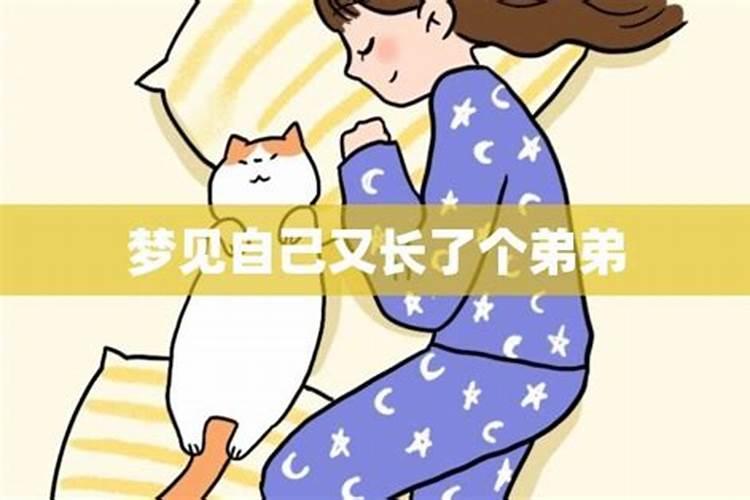 属鸡人这几个月生最好命,个个都是富豪命