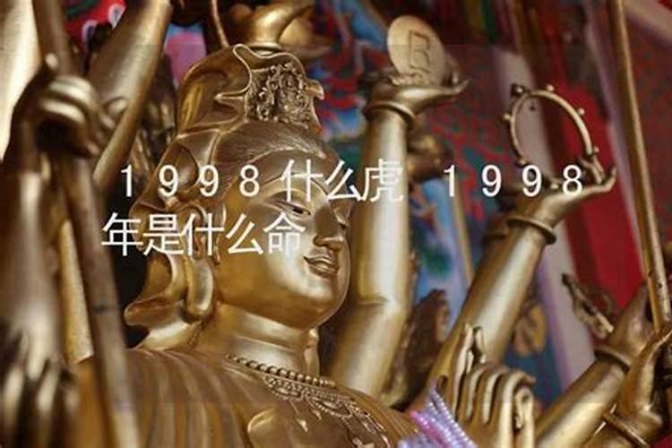 98年属虎是什么命