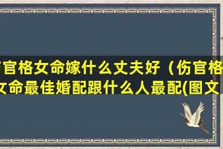 月柱伤官女命该嫁什么人 家境富裕正官男命