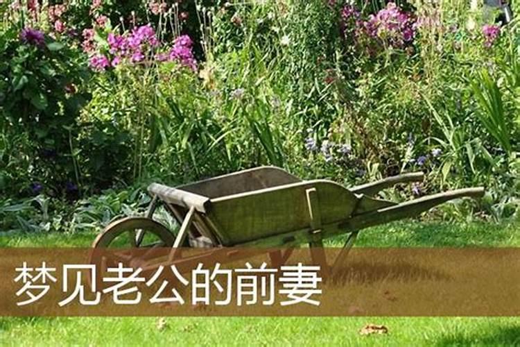 本人1990年3农历三月初三寅时出生,请大师帮我算一下我的命怎么样。