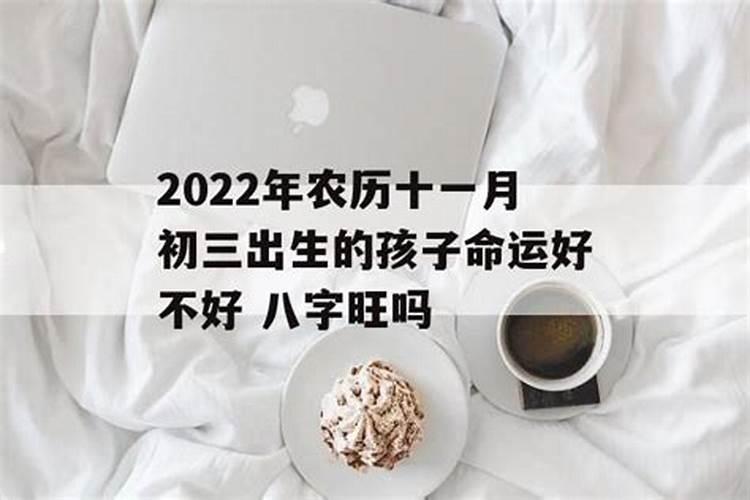 九月九日出生的男孩名字,重阳节生日名字带什么字好