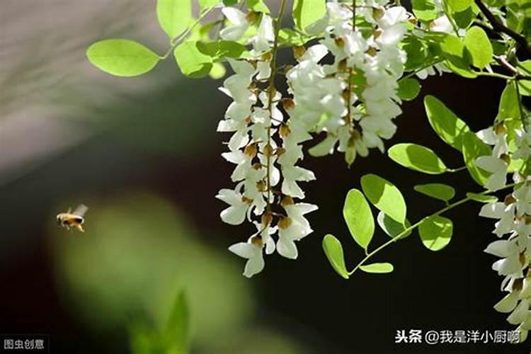 去哪里请太岁,拜太岁去哪个庙