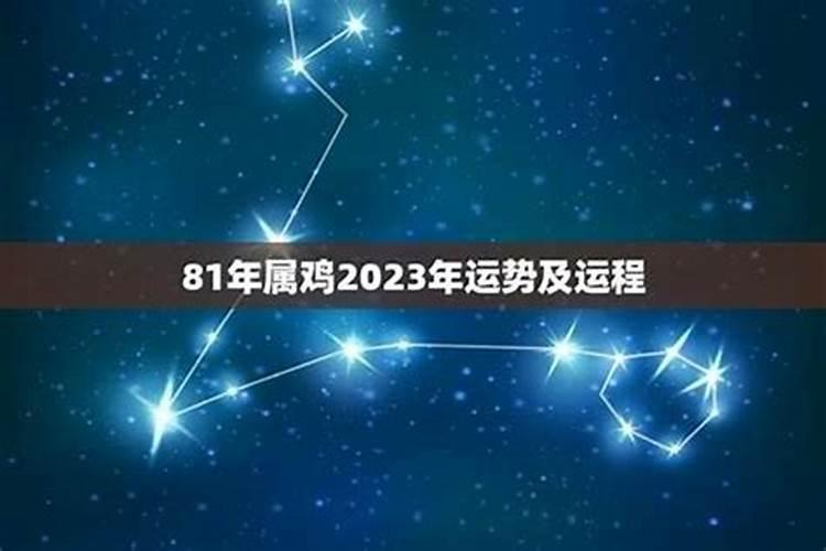 2025属鼠今年有一难 属鼠人2025年运势