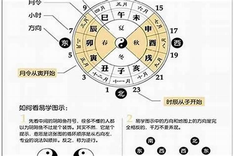 属鼠和属蛇的属相配吗
