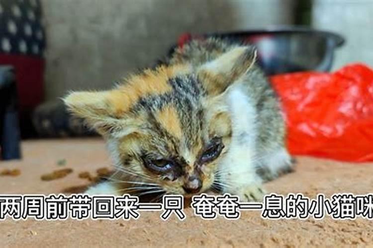 北京正月十五看灯最佳地点