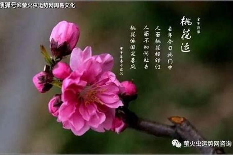 余太岁手链豆绿色都有什么功效戴哪个手比较好