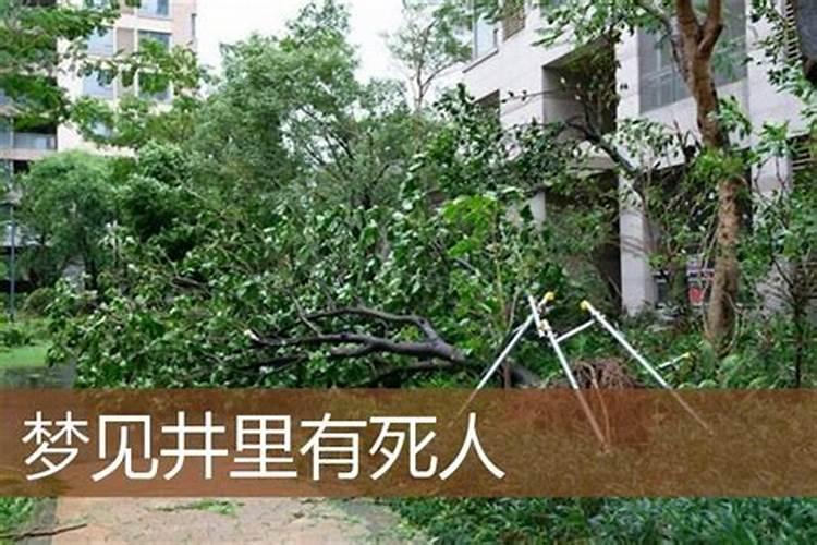 夏天日出一般几点？