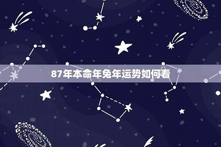 牛和鼠的属相合不合