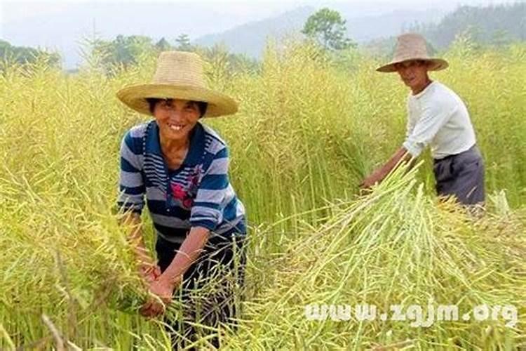 怎样才能看出一个人是否好命