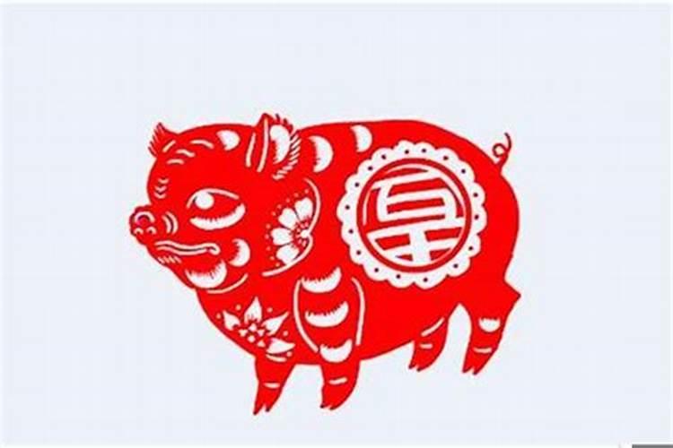 属猪1971年二月十三生日运气爱情如何