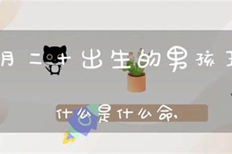 八四年,农历十二月二十出生,属哪个星座？