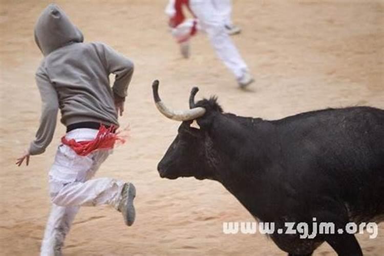 梦乡是什么意思