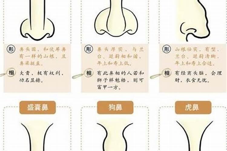 男人鹰钩鼻好不好 感情运如何