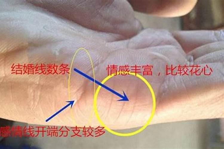 川字掌女人婚姻不顺吗