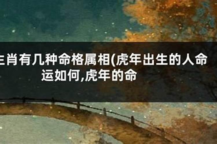 99年腊月初八寅时出生的女虎的运势