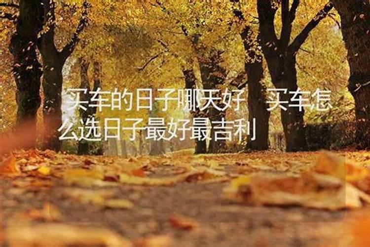 买新车怎么选日子提车