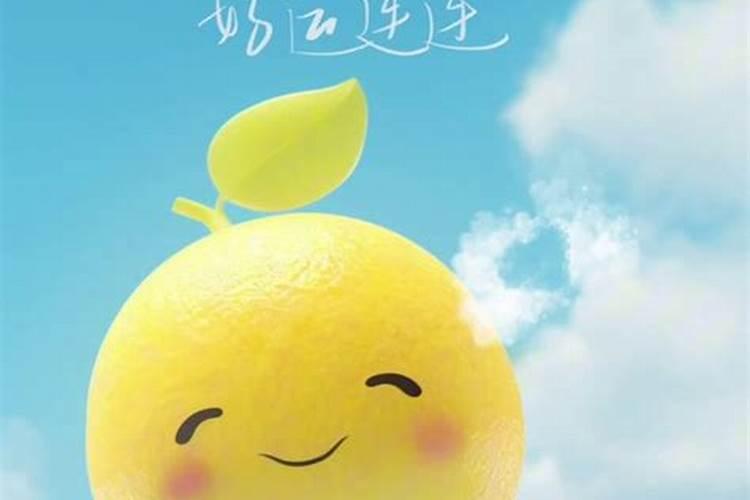 好运连绵和好运连连哪个更好