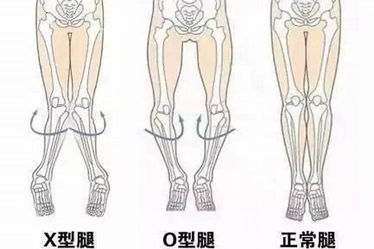 2024年正月初二出生的男孩命运怎么样 龙几月出生最好