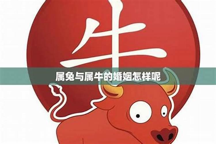 2025年哪个月份出生的宝宝最好