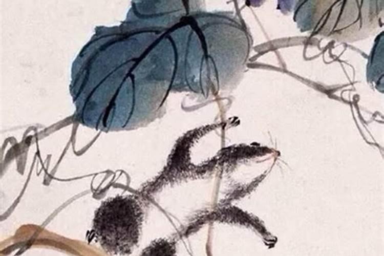 娱乐圈感情受伤后,状态不是很好的女星都有谁？