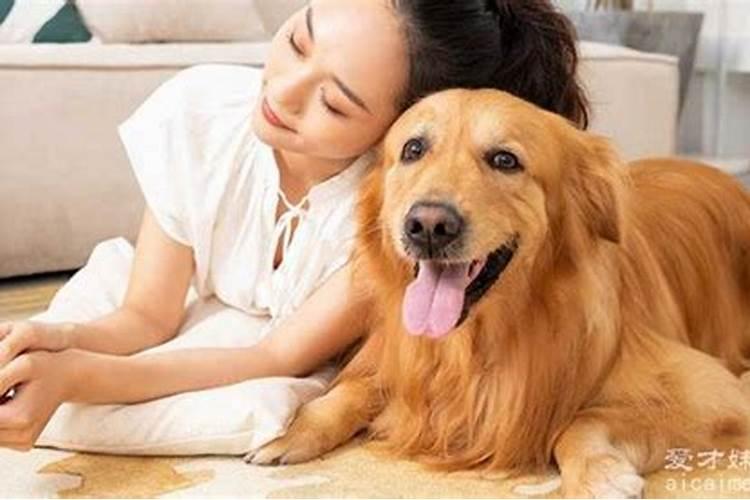 梦见狗狗是什么预兆周公解梦