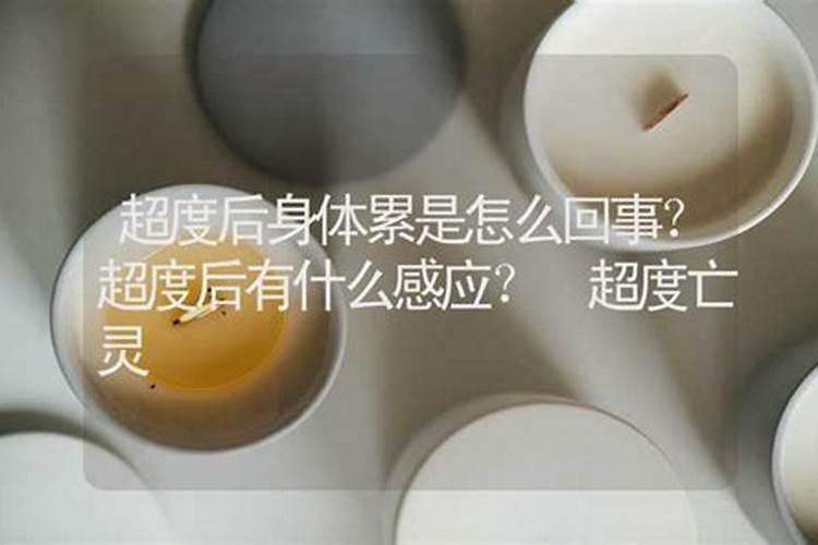 日坐桃花是什么意思