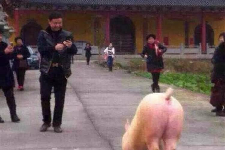 七月十五爷爷奶奶父母都在一起贡品摆两份吗？