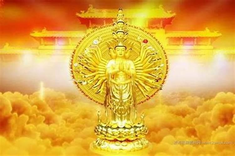 2025属狗今年有一难是什么