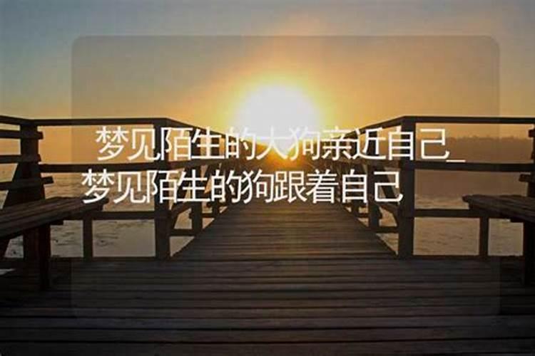 属猴亥时出生的人命运分析