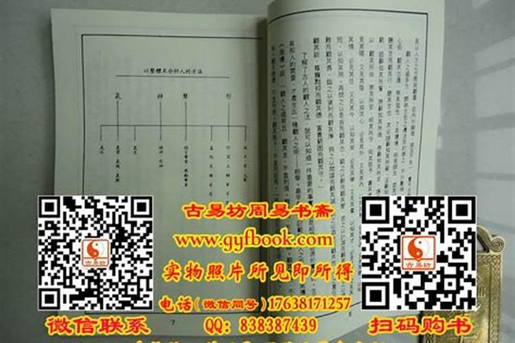 麦玲玲玄术面相
